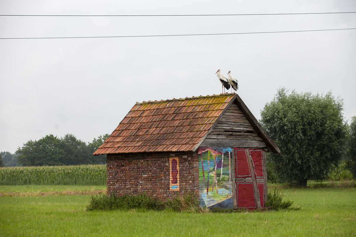 Bemalte Backsteinscheune vor einem Maisfeld und Strommasten, auf dem Dach zwei Störche